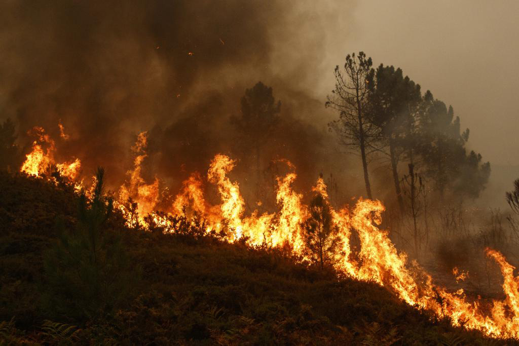Αποφυγή δασικών πυρκαγιών